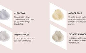 Evolution harmonizer ,03